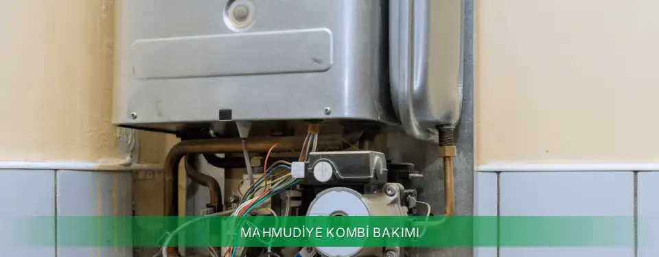 Mahmudiye İlçemi Vaillant Kombi Bakımı