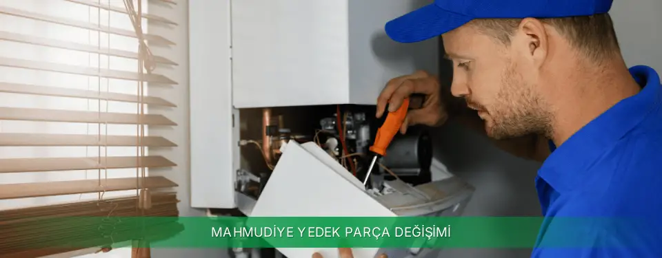 Mahmudiye İlçemi Vaillant Yedek Parça Değişimi